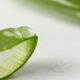 Os incríveis benefícios da aloe vera para a sua pele