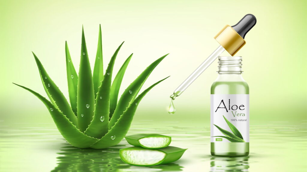 Os incríveis benefícios da aloe vera para a sua pele