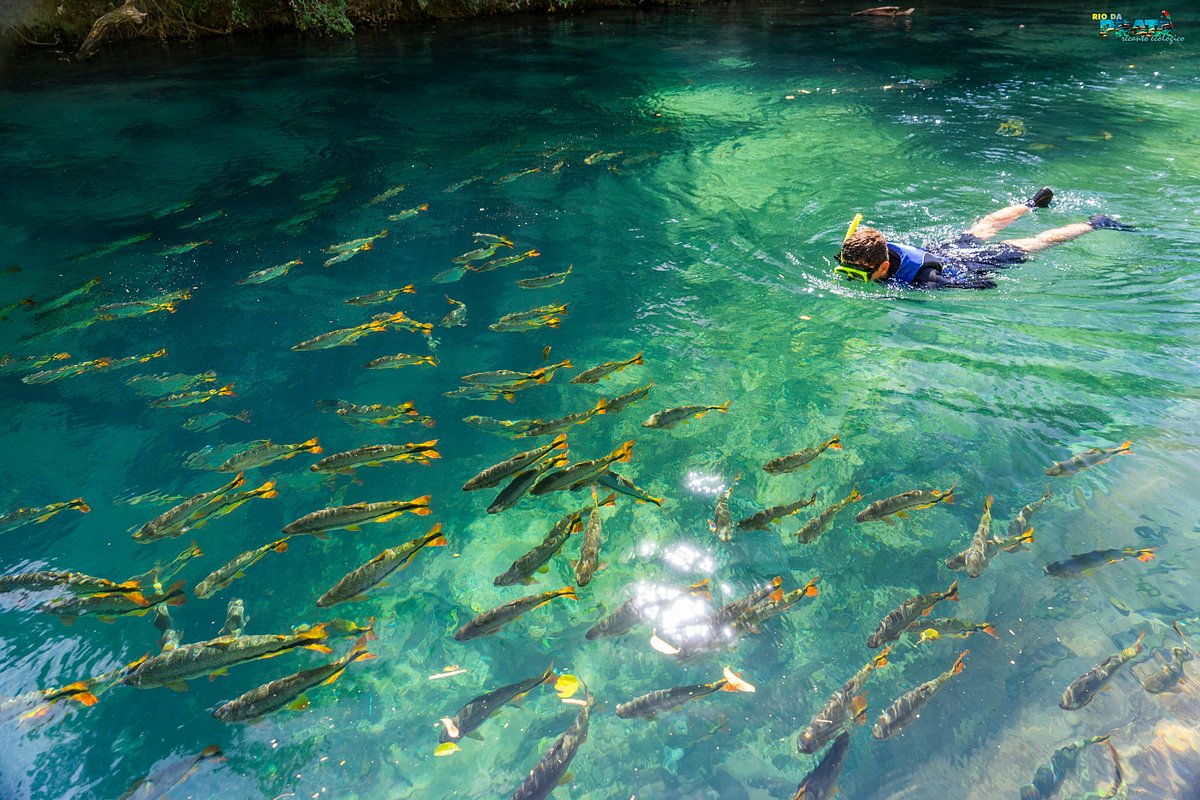 Este é o paraíso ecológico que você buscava