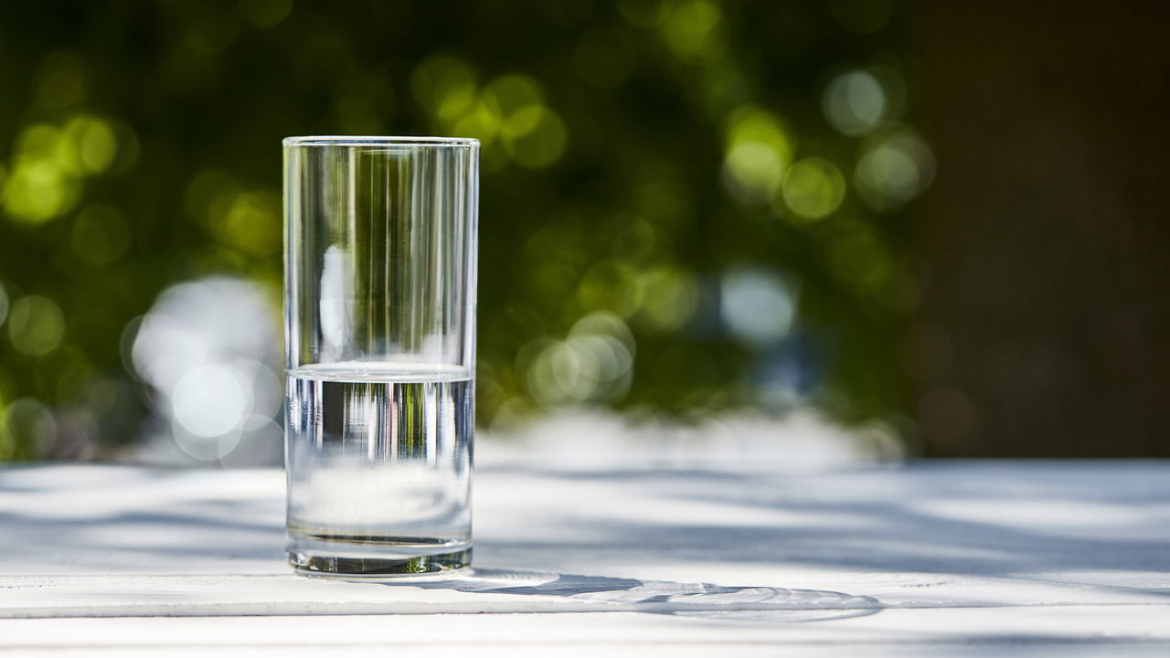 Este simples teste pode mudar sua rotina capilar