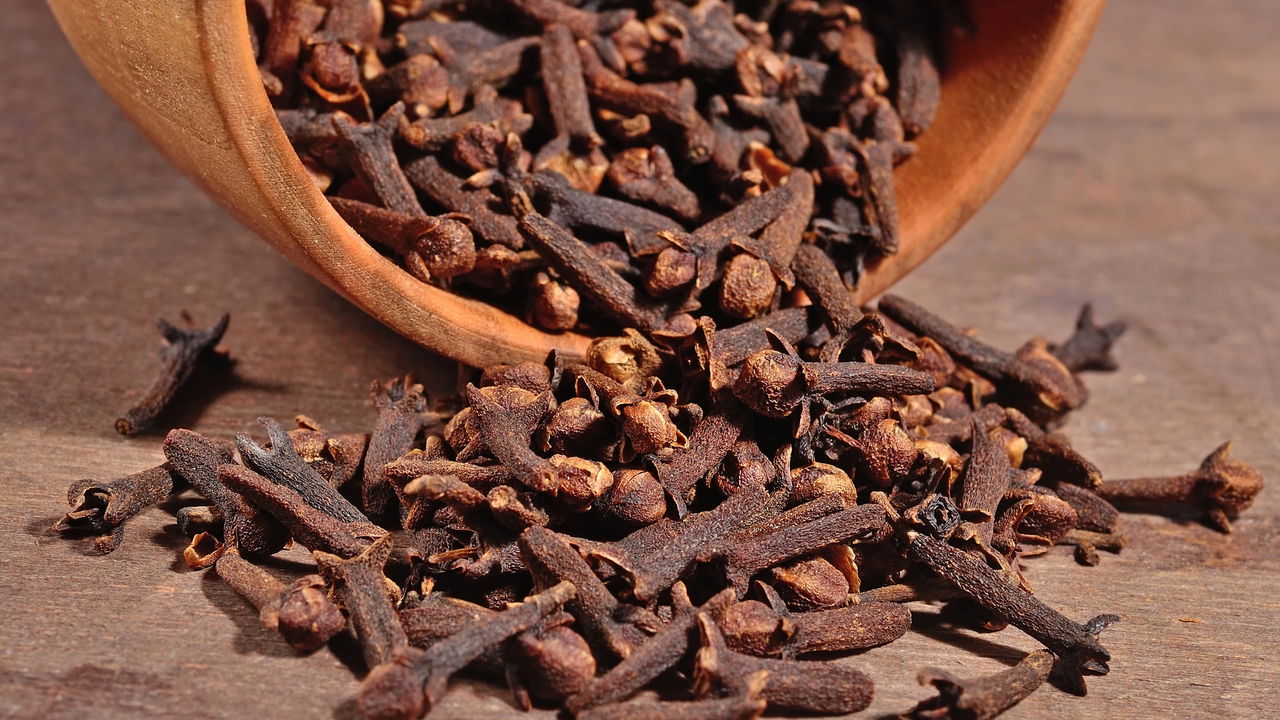 Aprenda a plantar cravo-da-índia e perfume seu lar!