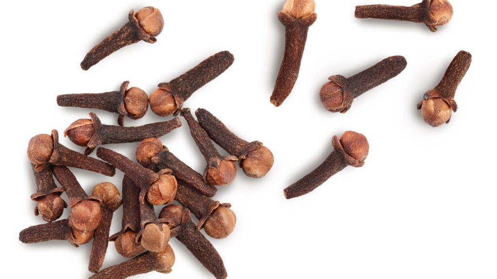 Aprenda a plantar cravo-da-índia e perfume seu lar!