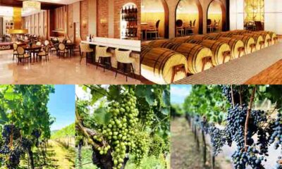 Sul do Brasil tem vinícolas renomadas e até castelo de conto de fadas