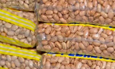 Cereais na alimentação; conheça variados tipos pelo mundo