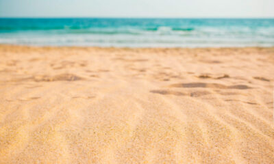 ‘Um dos vídeos mais assustadores’: homem interage com polvo mais mortal dos oceanos sem saber