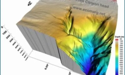 Cânion mais profundo do planeta impressiona até os cientistas