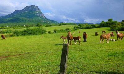 Governo do Rio prorroga até 2027 redução de ICMS sobre insumos agropecuários