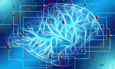 Inteligência Artificial ganha ‘vontade própria’ e mente ao ser confrontada