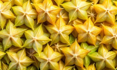 Conhecida como ‘fruta-estrela’, carambola nutre e hidrata, mas tem contraindicações