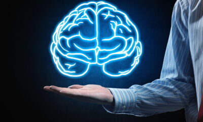 Evite parecer burro! estas 5 palavras são usadas por quem tem menos QI