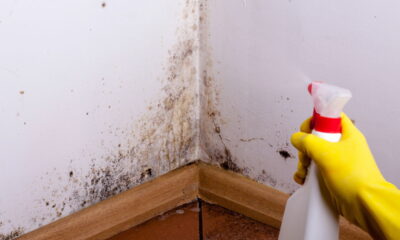 Truque faz mofo e umidade sumirem das paredes em minutos