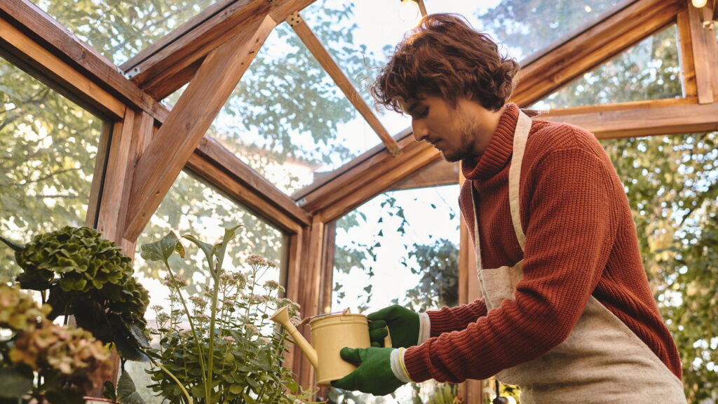 Melhor guia para regar plantas sem cometer erros fatais