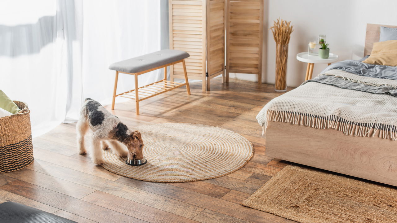 O truque com tapetes que está dominando os interiores