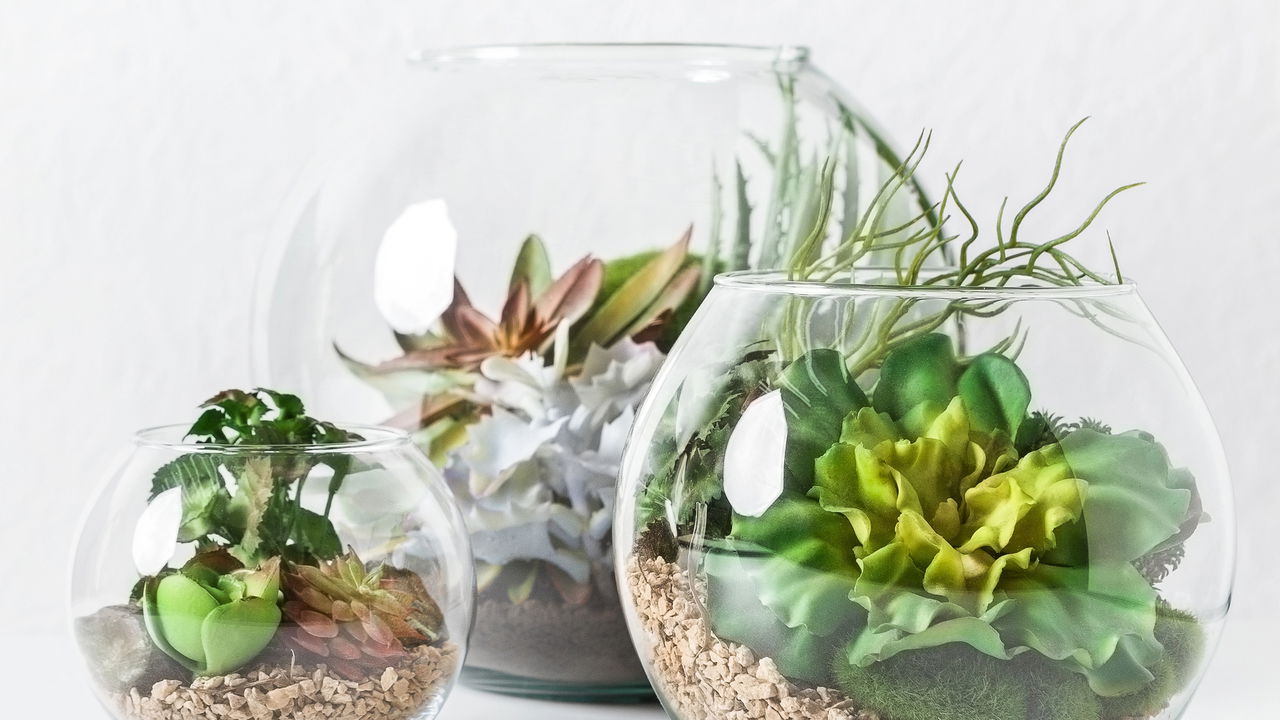 Passo a passo fácil para montar seu terrário de suculentas!