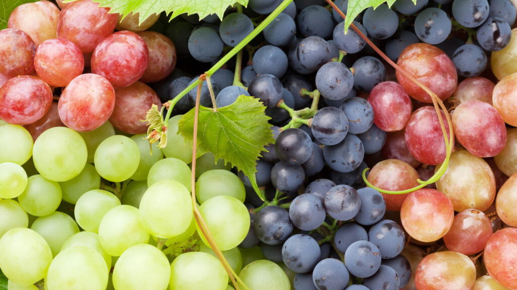 10 benefícios da uva para a saúde e por que consumir essa fruta regularmente pode fazer a diferença