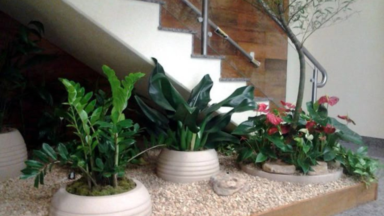 Mãos na terra! aprenda a montar seu jardim interno passo a passo!