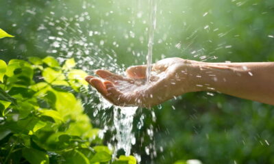 Por que beber água da chuva pode colocar sua saúde em risco