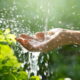 Por que beber água da chuva pode colocar sua saúde em risco