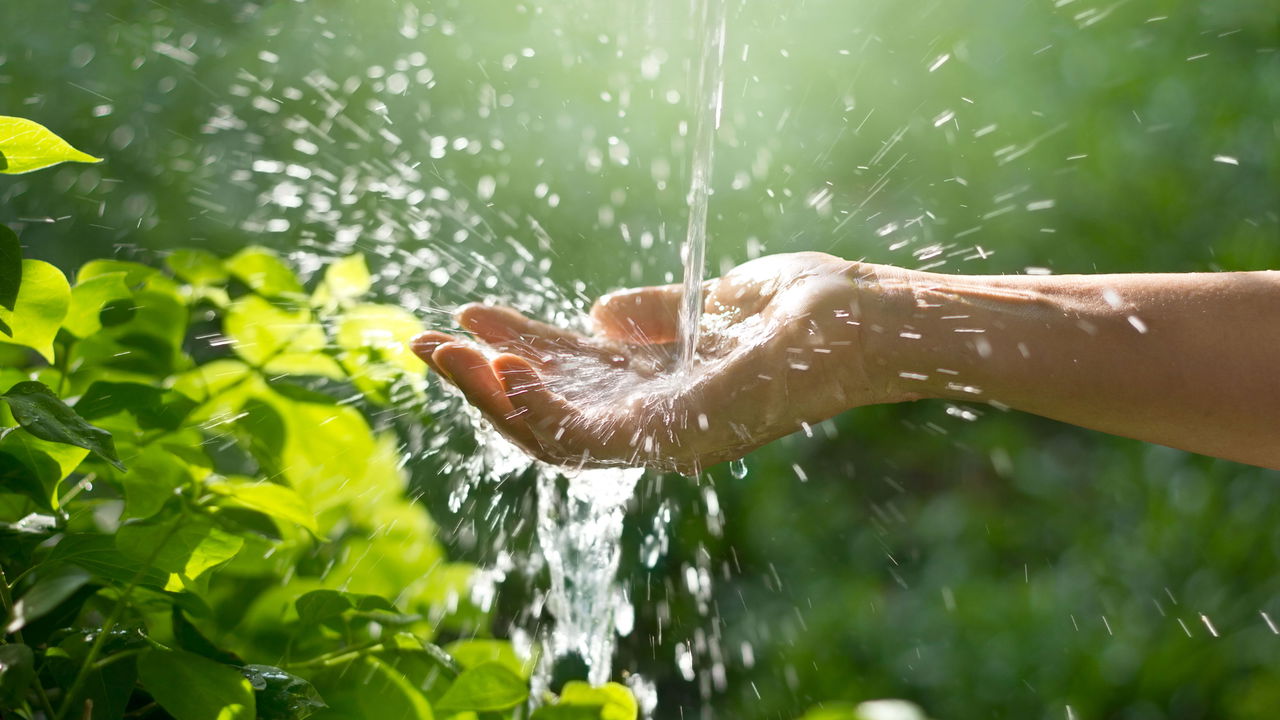 Por que beber água da chuva pode colocar sua saúde em risco
