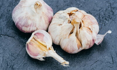 Adeus, resfriado! O alho que você planta em casa é seu novo aliado contra doenças