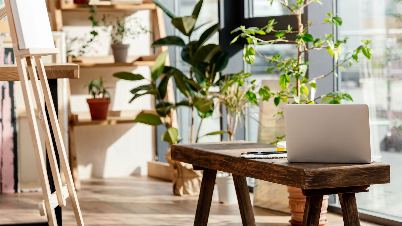 Dê vida à sua casa com essas ideias de decoração natural