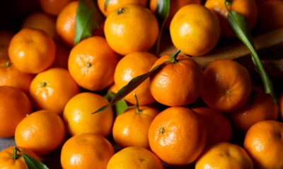7 razões para incluir a laranja na sua alimentação diária