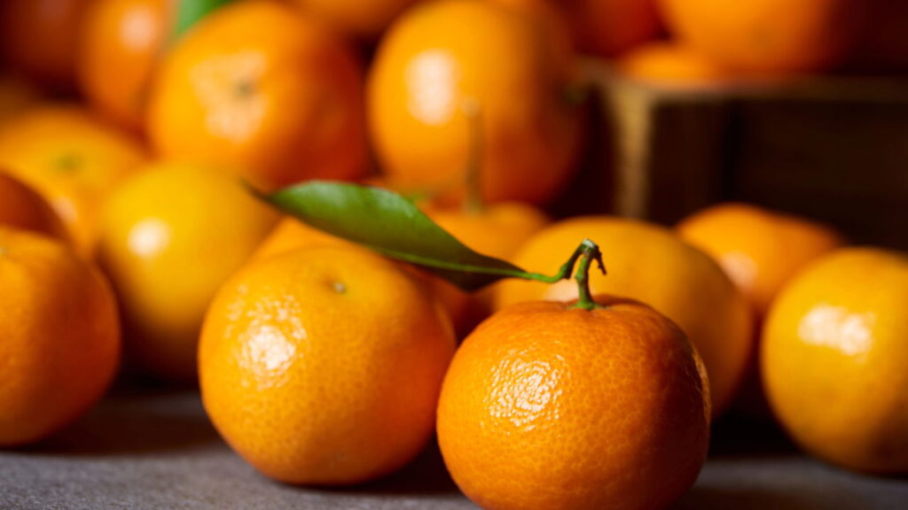 7 razões para incluir a laranja na sua alimentação diária