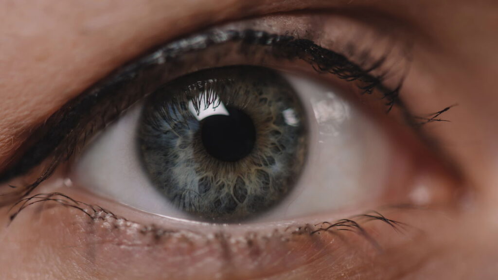 Quantos megapixels tem o olho humano e por que ele é especial
