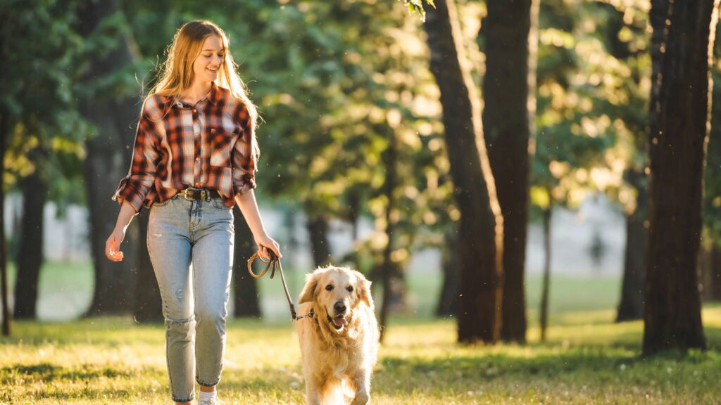 O superpoder da caminhada que você ignorava, secará a barriga e turbinará a mente!
