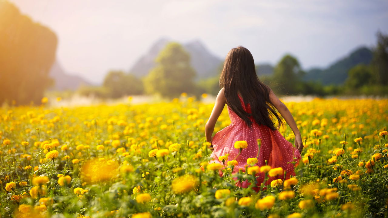 Campo ou cidade? Saiba qual estilo de vida combina mais com você