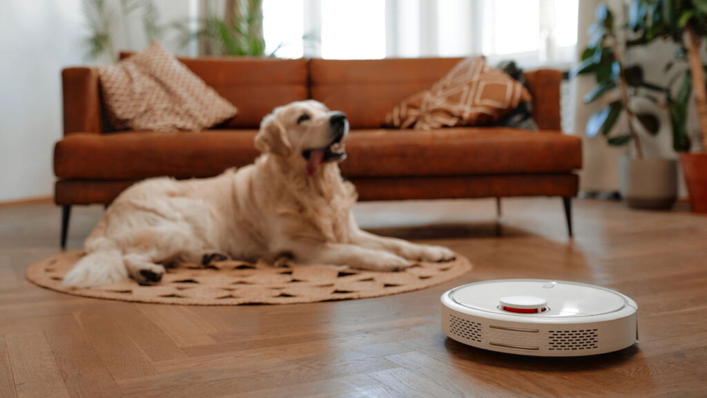 Robô aspirador que vai revolucionar sua limpeza em casa