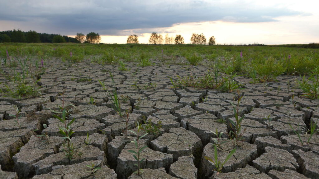 Falta de chuva afeta essas cidades por mais de 5 meses
