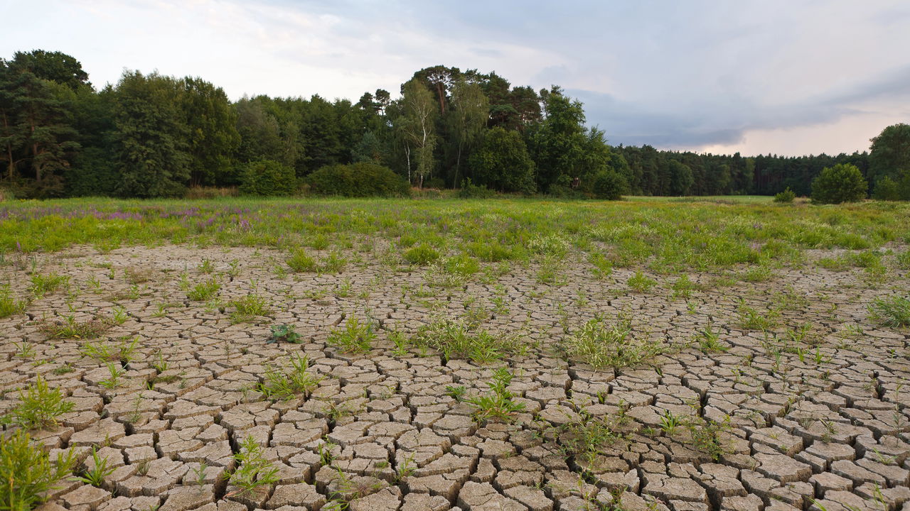 Falta de chuva afeta essas cidades por mais de 5 meses
