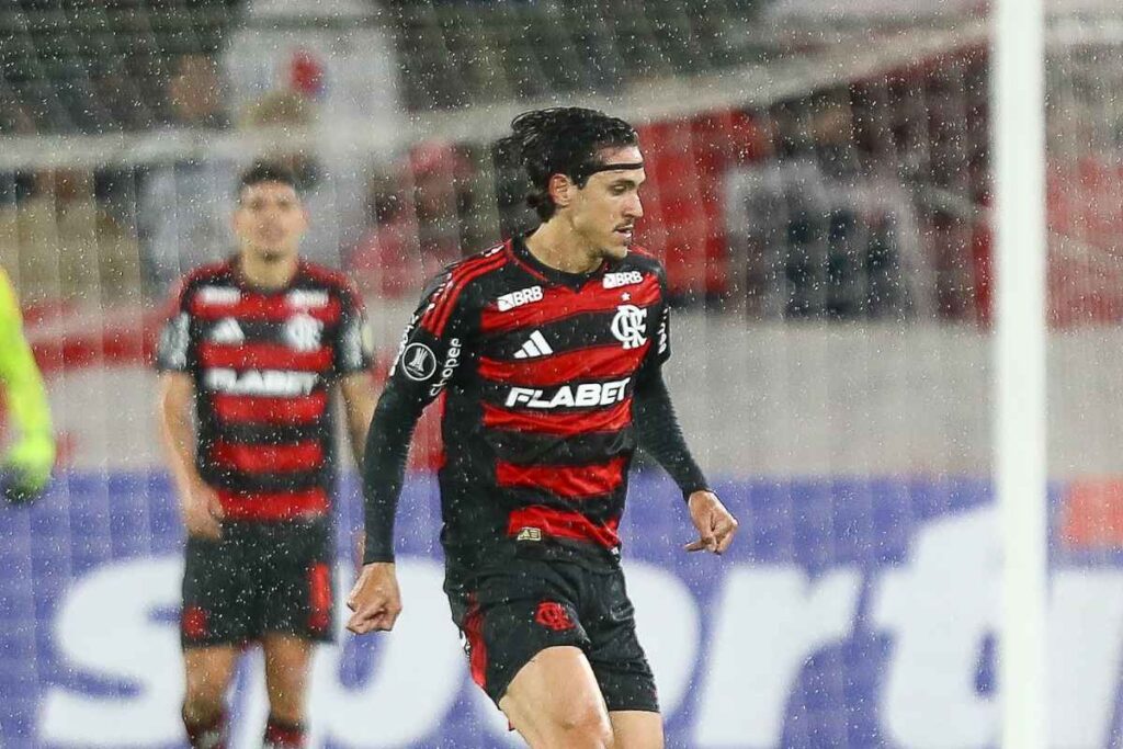 Pedro Flamengo