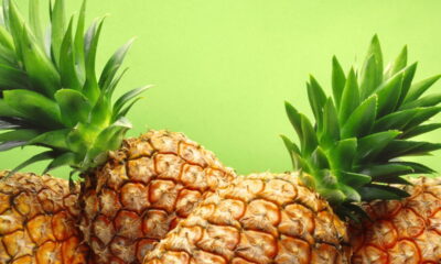 Veja como plantar abacaxi em qualquer lugar