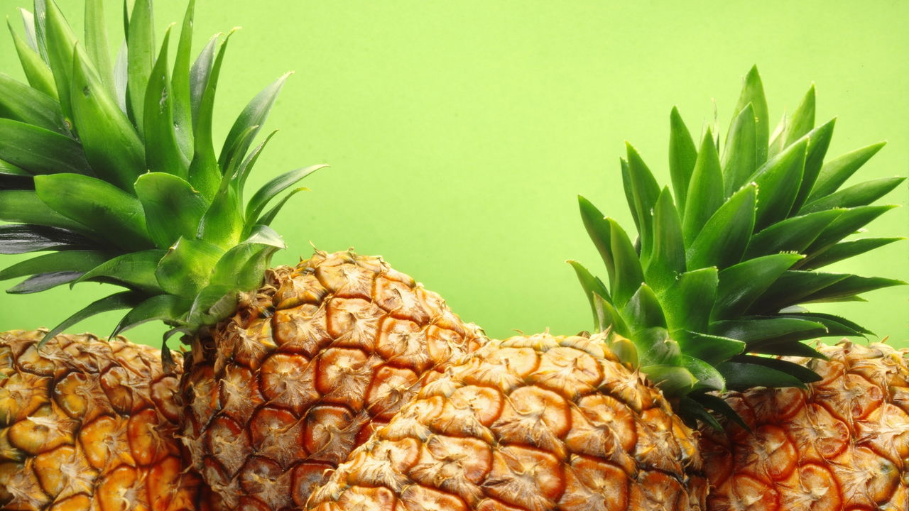 Veja como plantar abacaxi em qualquer lugar