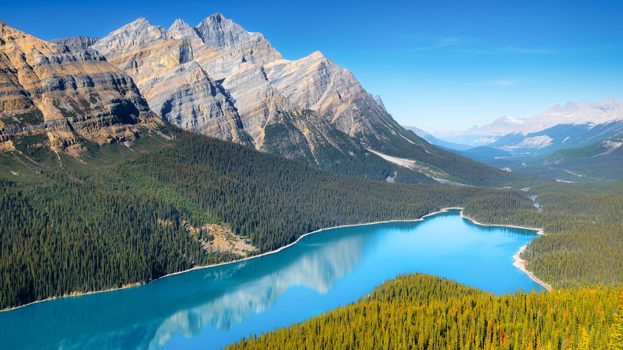 Fuja do Canadá! A lista definitiva dos países mais fáceis para obter cidadania agora!