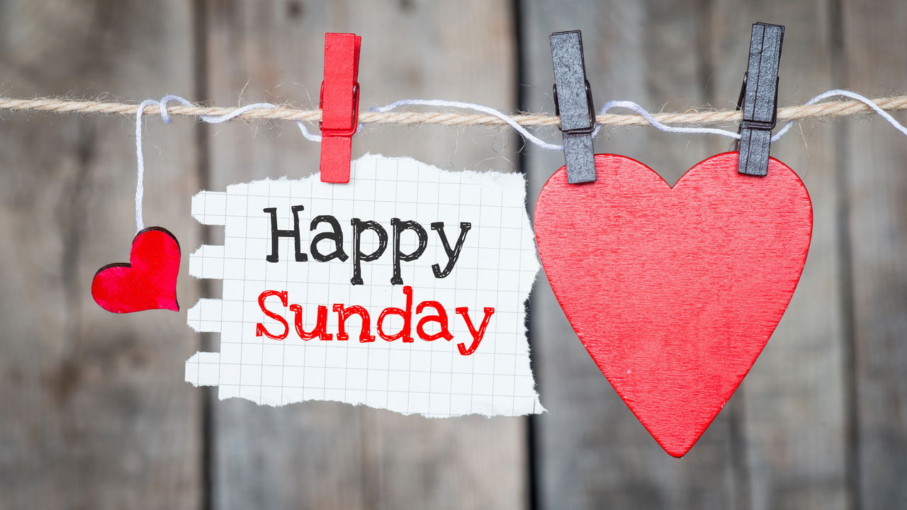 Domingo preguiçoso pode ser mais útil do que você imagina