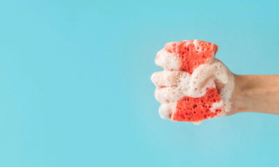 Você usa esponja de cozinha assim? Pode estar se contaminando