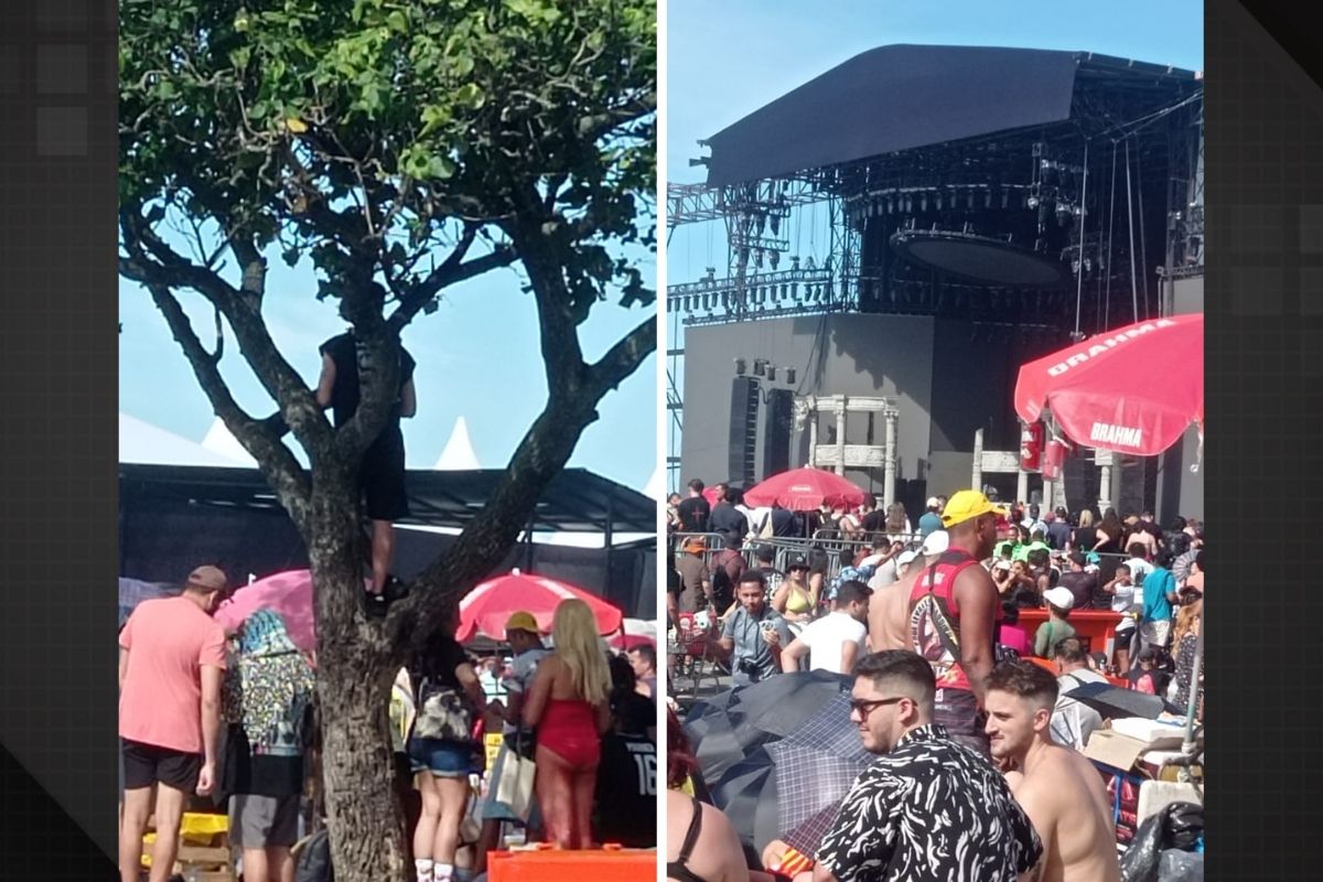 Multidão aglomerada em frente ao palco do show da cantora Lady Gaga. Fã em cima de árvore para acompanhar show da cantora Lady Gaga.