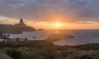 O melhor de Fernando de Noronha para quem ama natureza e aventura