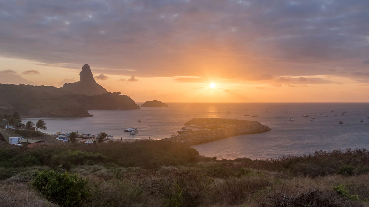 O melhor de Fernando de Noronha para quem ama natureza e aventura