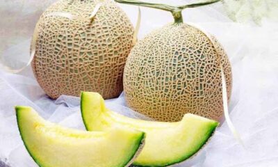 Entenda por que as frutas são tão caras no Japão