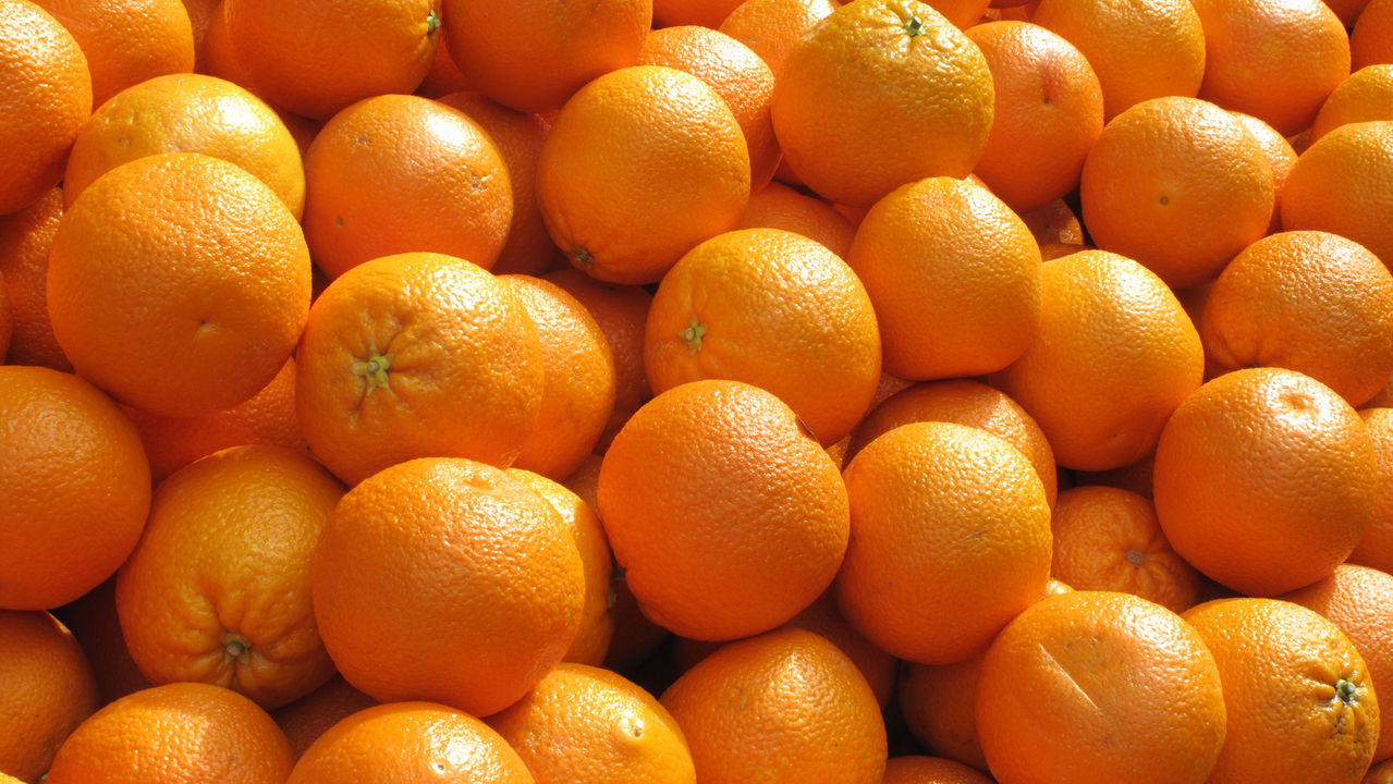 A cidade que colocou o Brasil no topo da laranja mundial