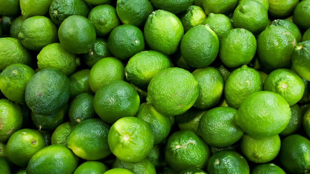 Veja a cidade brasileira que exporta 900 mil toneladas de limão
