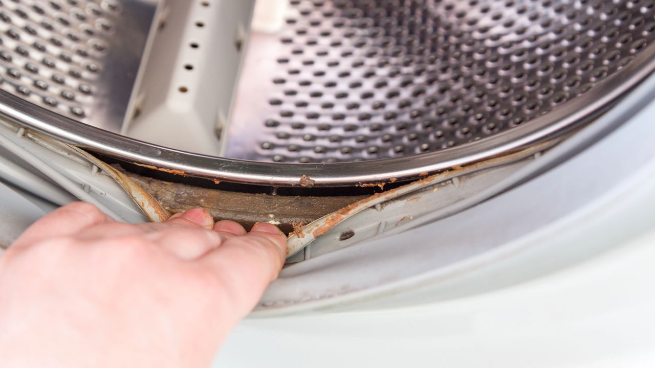 Limpeza de máquina de lavar feita do jeito errado custa caro