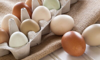 Ovo mexido perfeito é o prato mais fácil e nutritivo do café da manhã