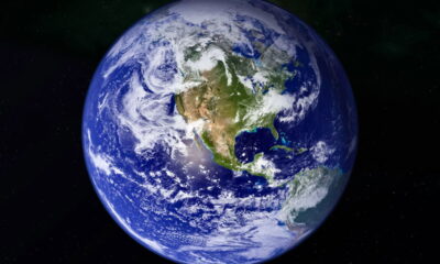 Essas duas palavras existem e TODAS as línguas