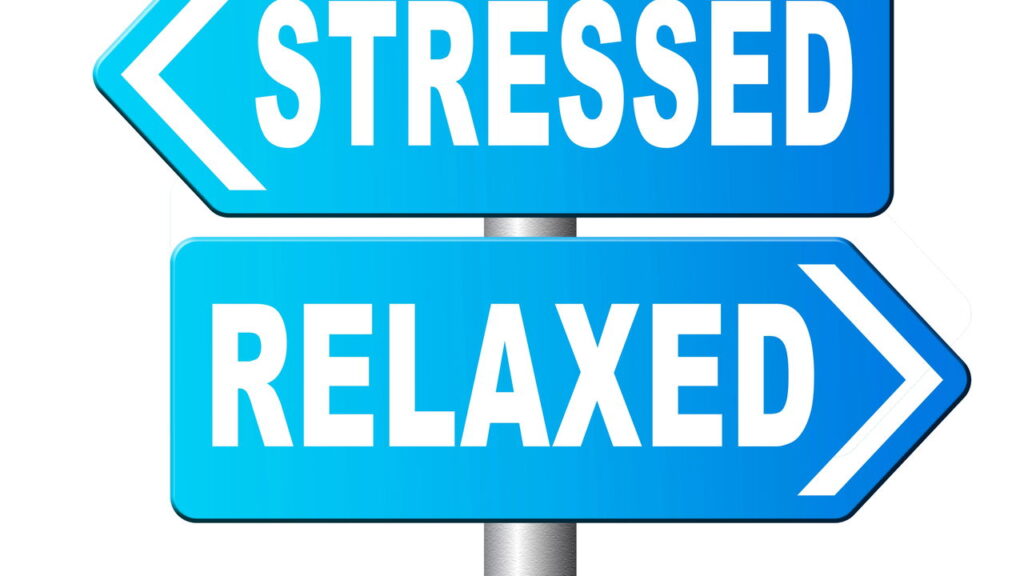 Motivação diária é o impulso que sua mente precisa agora