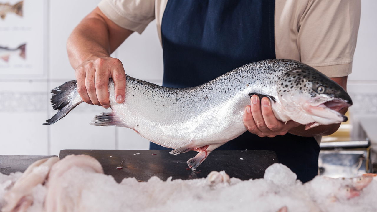 O peixe queridinho das dietas pode conter mais de 70 parasitas
